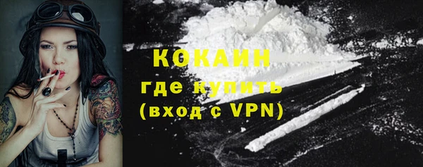 винт Вяземский