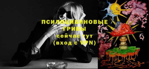 трава Сосновоборск